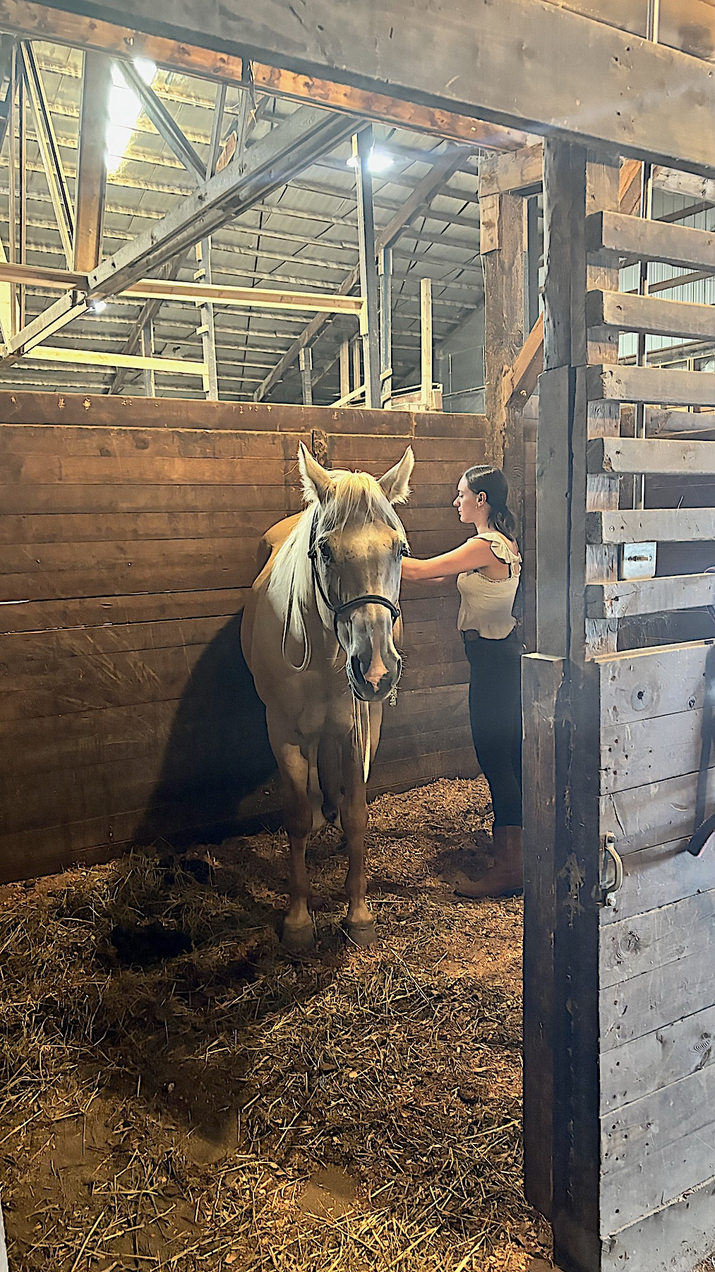 Equine Massage Equine Massage Park City UT